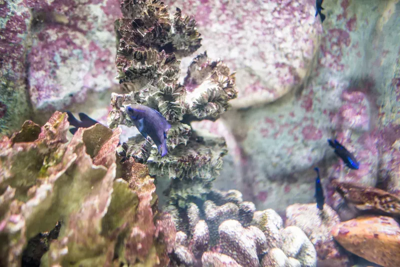 อควาเรียม ใกล้กรุงเทพฯ