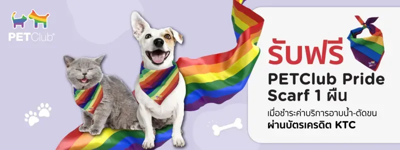 โปรโมชั่น ktc