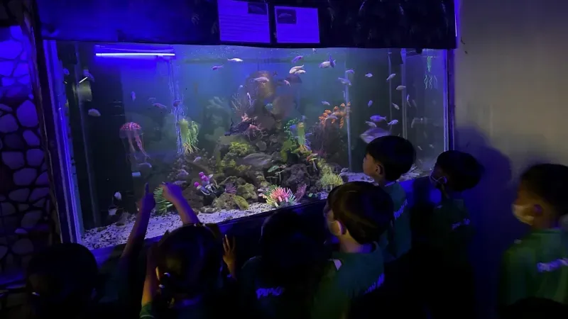 อควาเรียม พัทยา