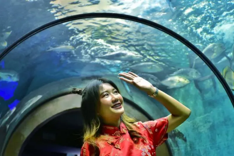 อควาเรียม ภาคใต้