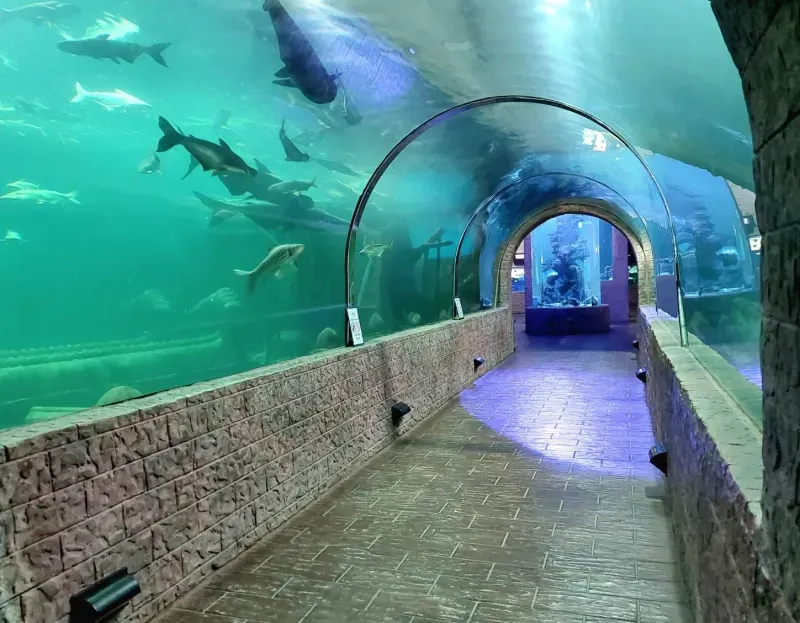 อควาเรียม