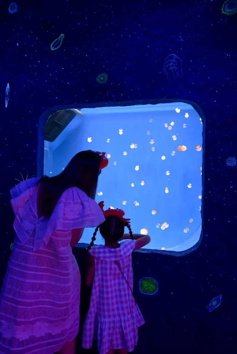 กิจกรรมเด็ก