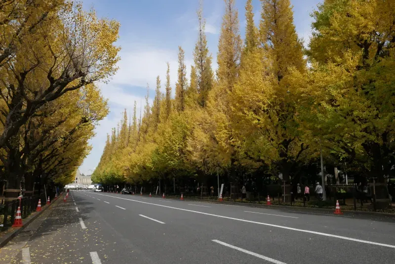 เทศกาล ท่องเที่ยว ญี่ปุ่น