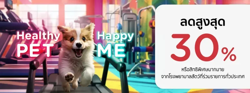 แมวมีอาการซึม ไม่กินอาหาร นอนทั้งวัน วิธี แก้