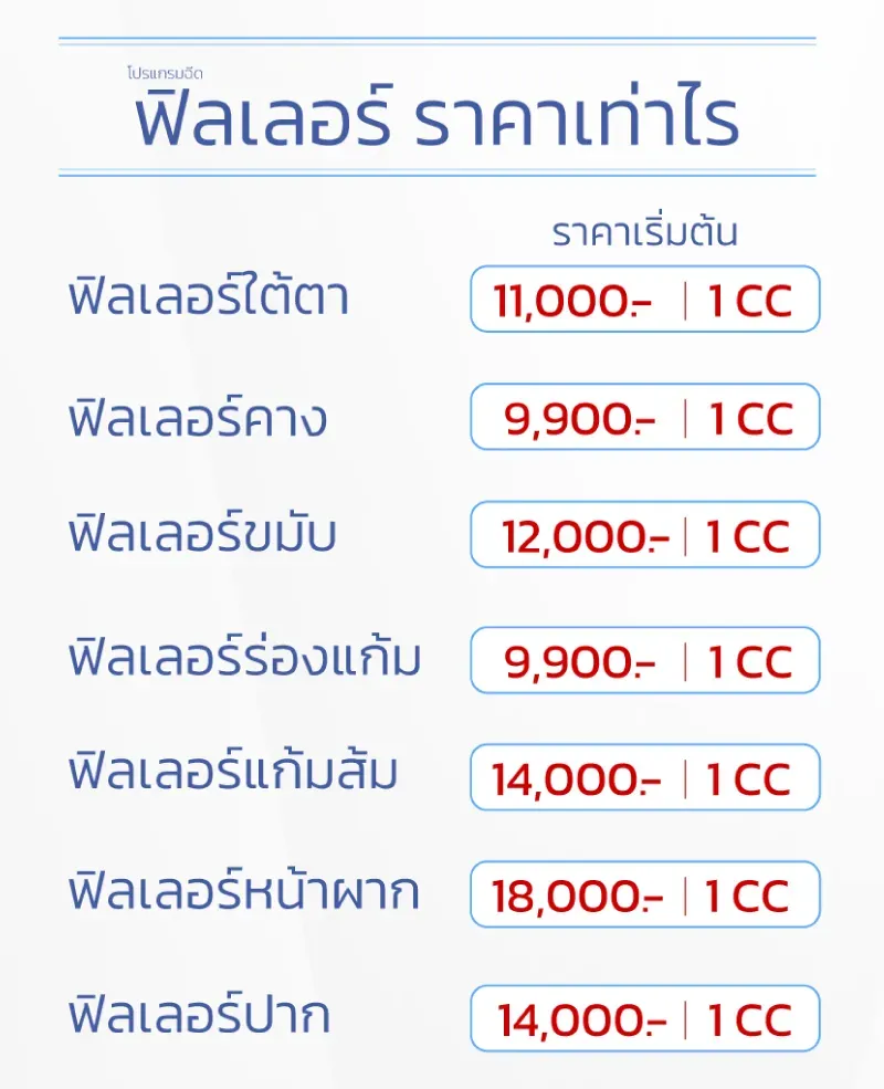 ฟิลเลอร์ราคาแต่ละจุด