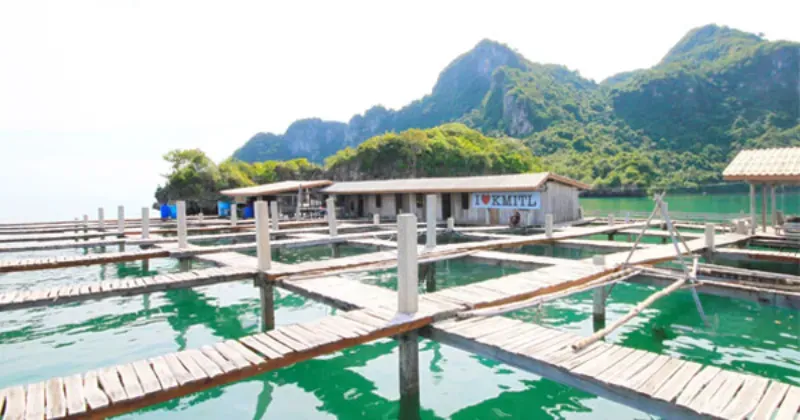 ที่เที่ยวชุมพร