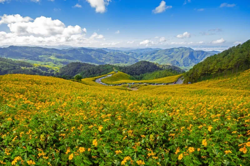 ที่เที่ยวแม่ฮ่องสอน