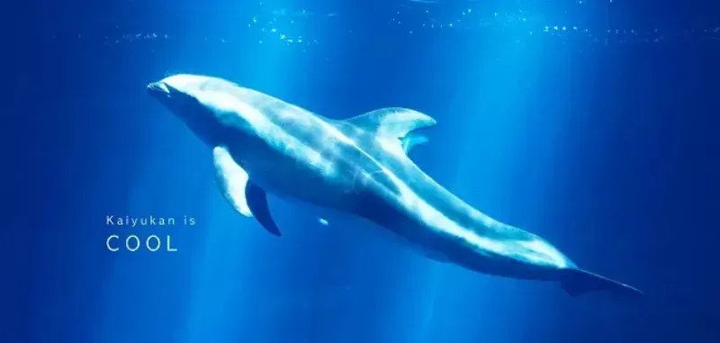 ที่เที่ยวโอซาก้า