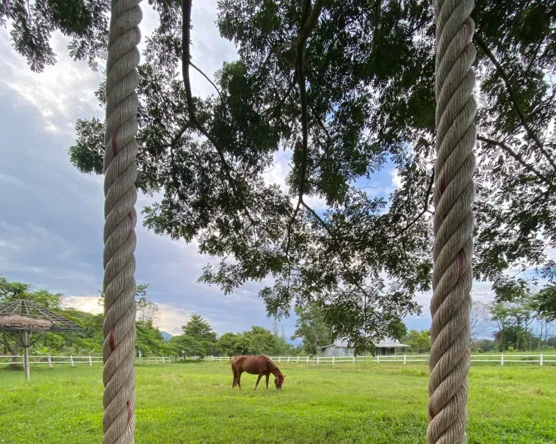 ที่เที่ยวปาย