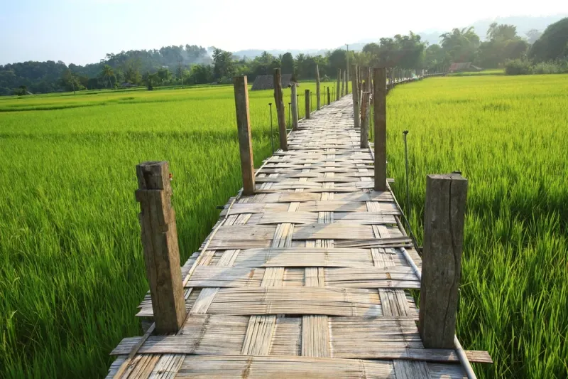 ที่เที่ยวแม่ฮ่องสอน