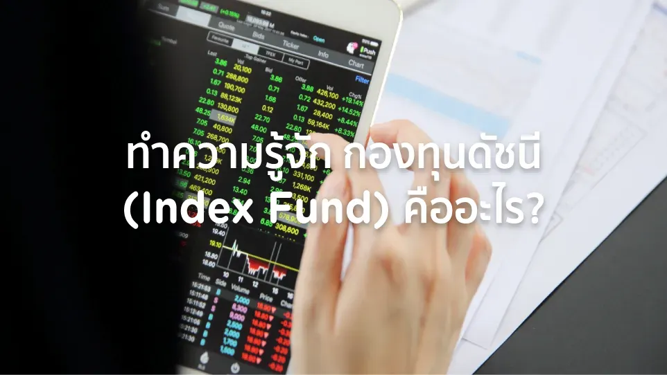 index fund คือ