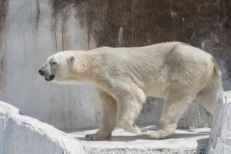 ที่เที่ยวโอซาก้า