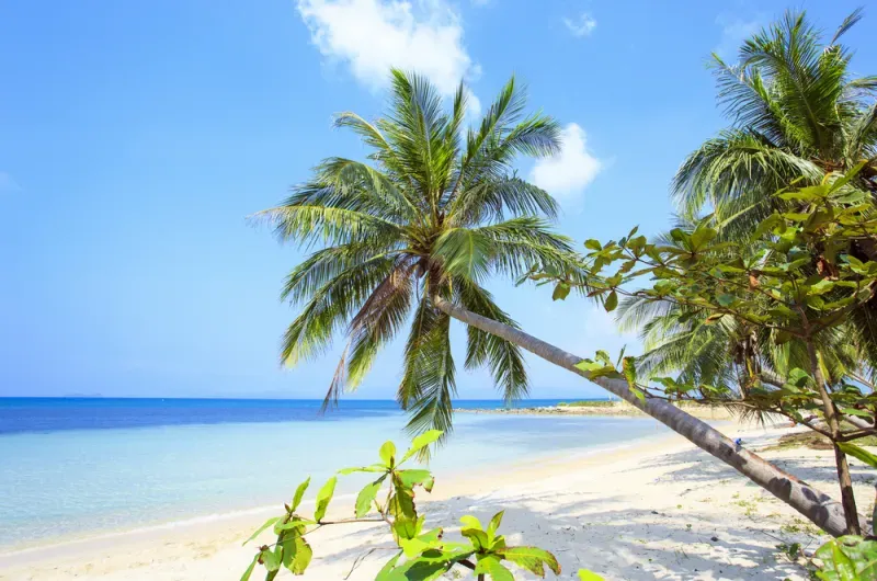 ที่เที่ยวสมุย