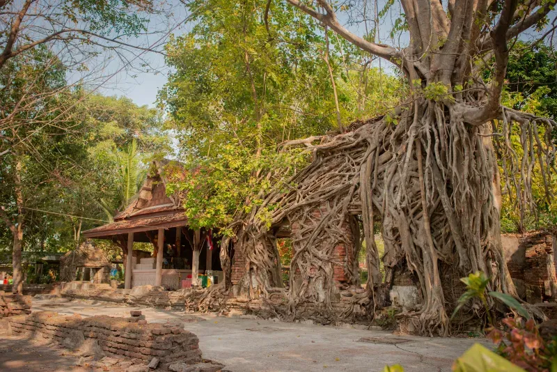 วัดดังนครนายก