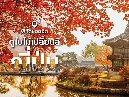 ใบไม้เปลี่ยนสีประเทศญี่ปุ่น