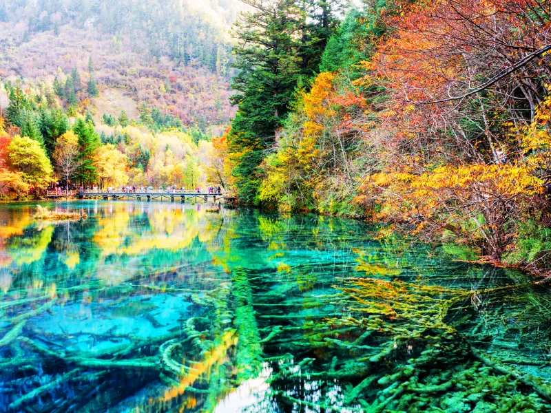 จิ่วจ้ายโกว