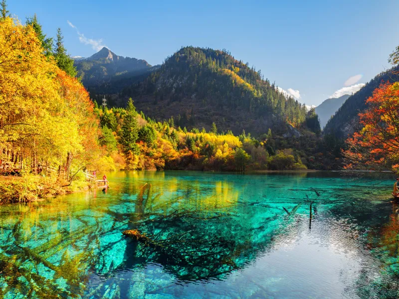 จิ่วจ้ายโกว