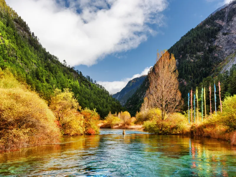 จิ่วจ้ายโกว