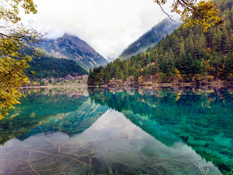 จิ่วจ้ายโกว