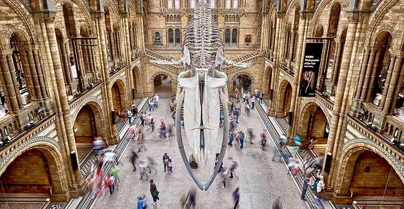 พิพิธภัณฑ์เข้าฟรีในลอนดอน