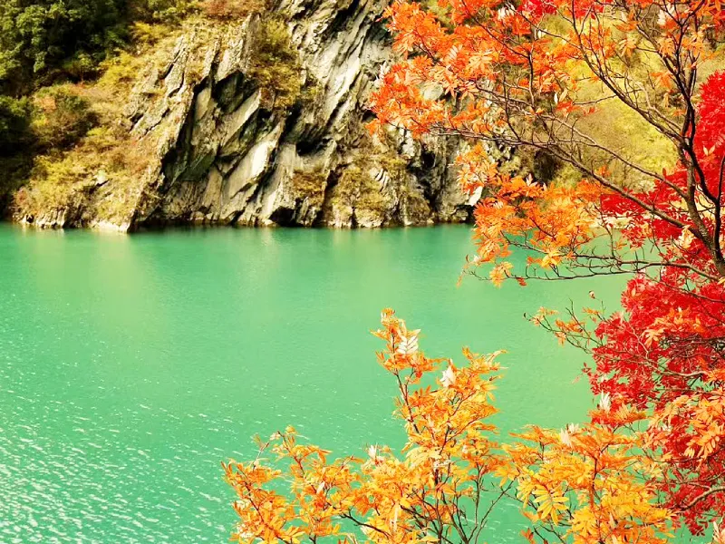 อุทยานผาสวรรค์ซงผิงโกว