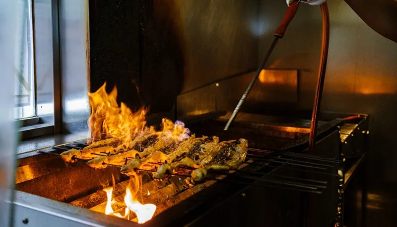 ข้าวหน้าปลาไหลนาโกย่า ข้าวหน้าปลาไหลนาโกย่า