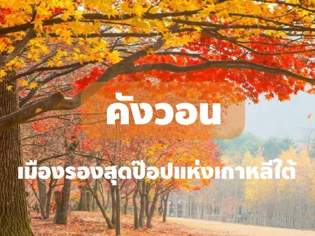 คังวอน เมืองรองสุดป๊อปแห่งเกาหลีใต้