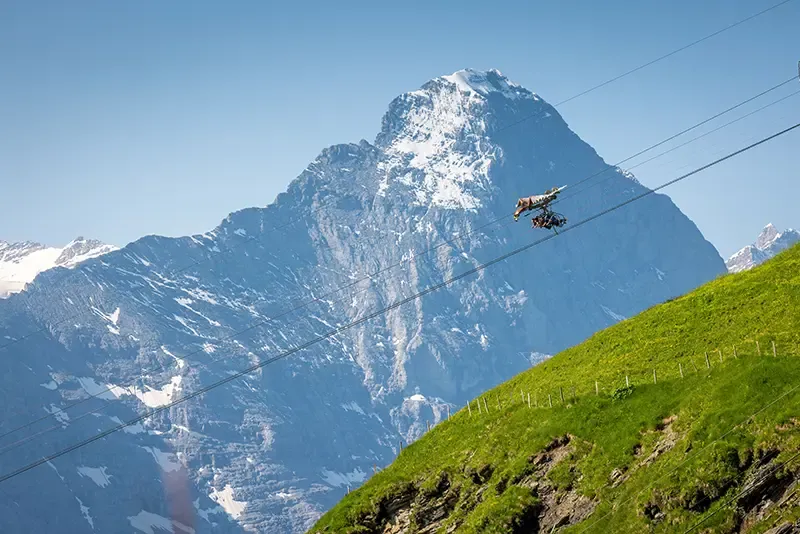 กรินเดลวาลด์