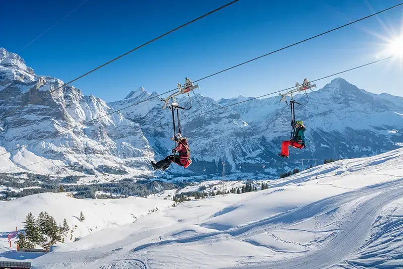 กรินเดลวาลด์