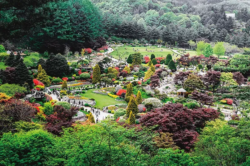 คยองกีโด เกาหลี คยองกีโด เกาหลี