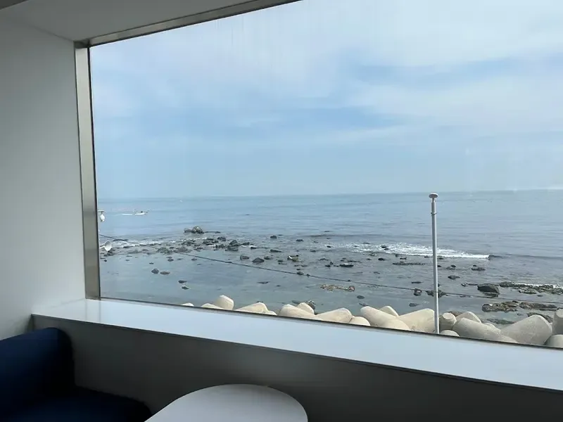 คาเฟ่ SANIDA Cafe เที่ยวเกาหลีต้องไปเช็คอิน