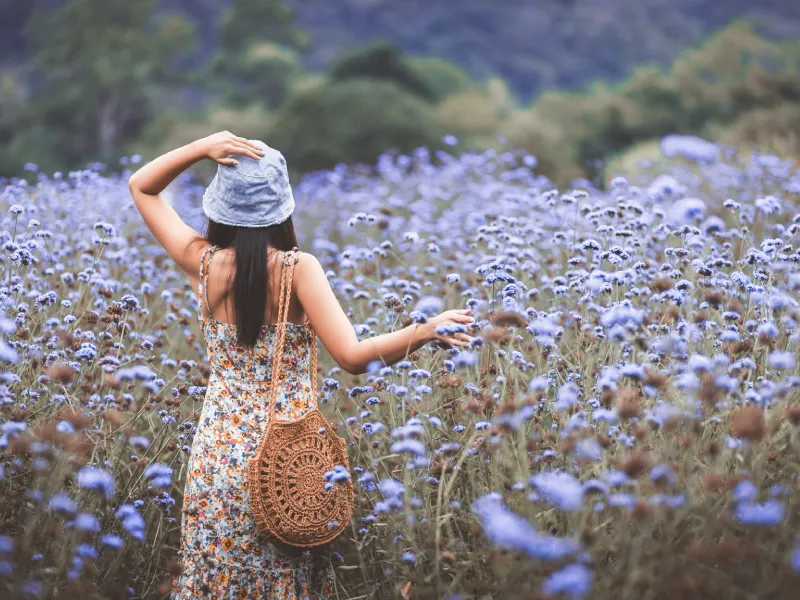 เขาใหญ่ เขาใหญ่