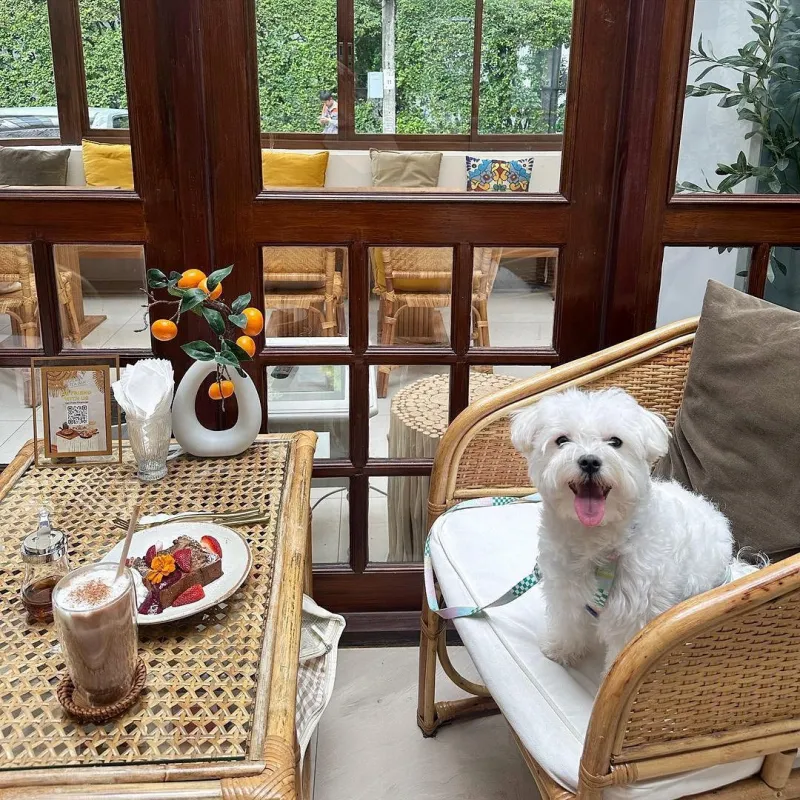 คาเฟ่ สาทร