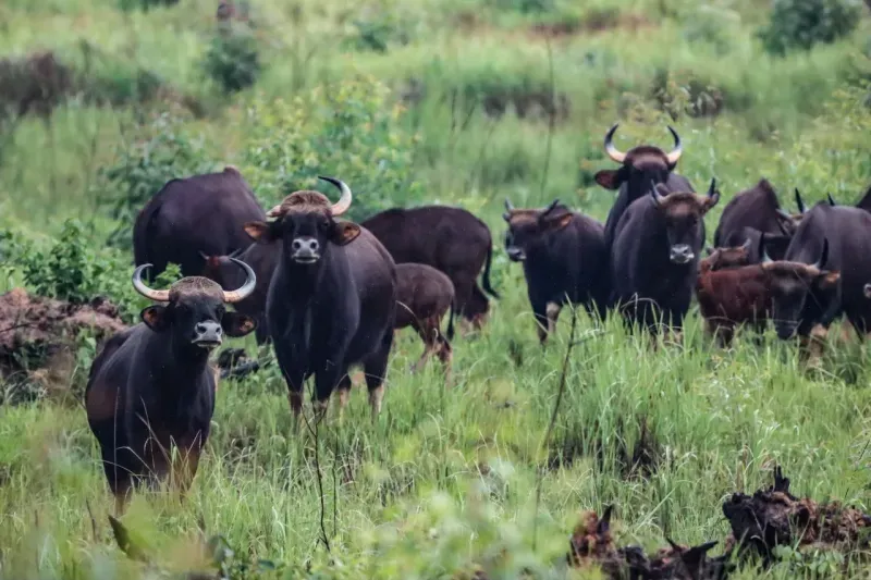 ที่เที่ยวบุรีรัมย์