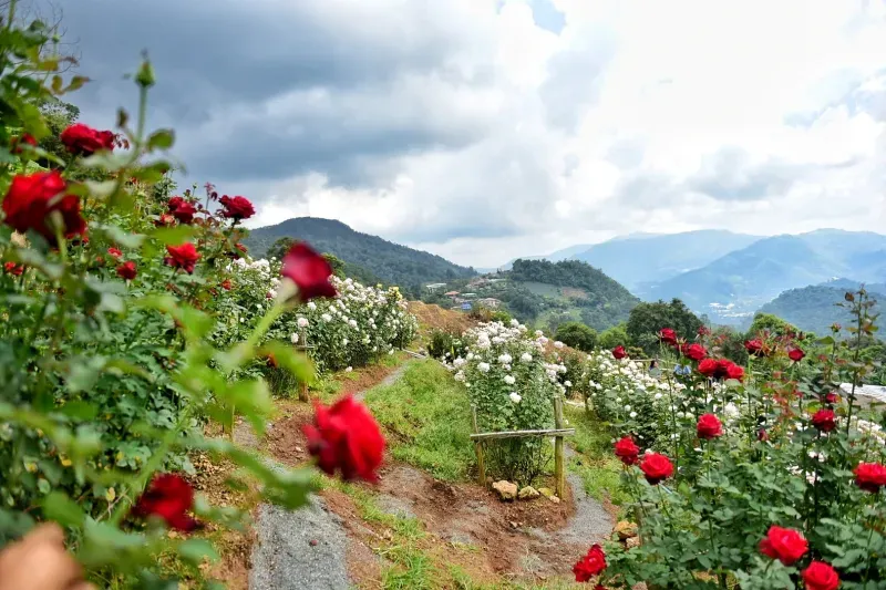 ที่เที่ยวม่อนแจ่ม