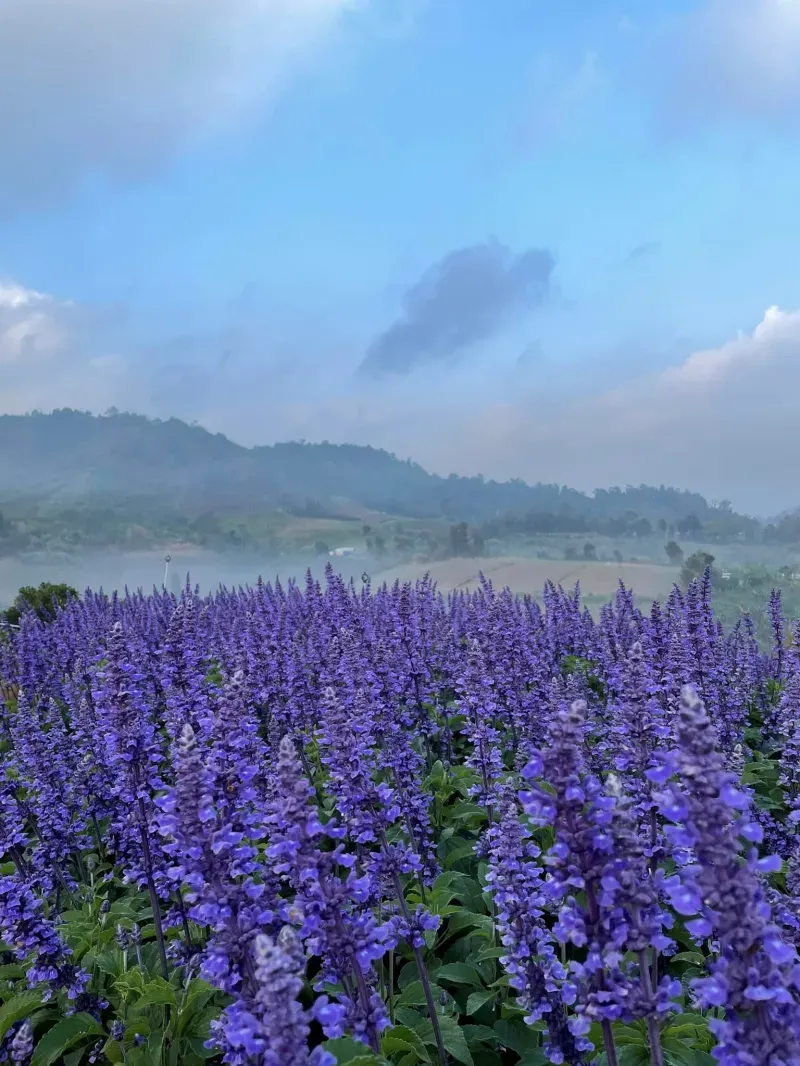 ที่เที่ยวม่อนแจ่ม