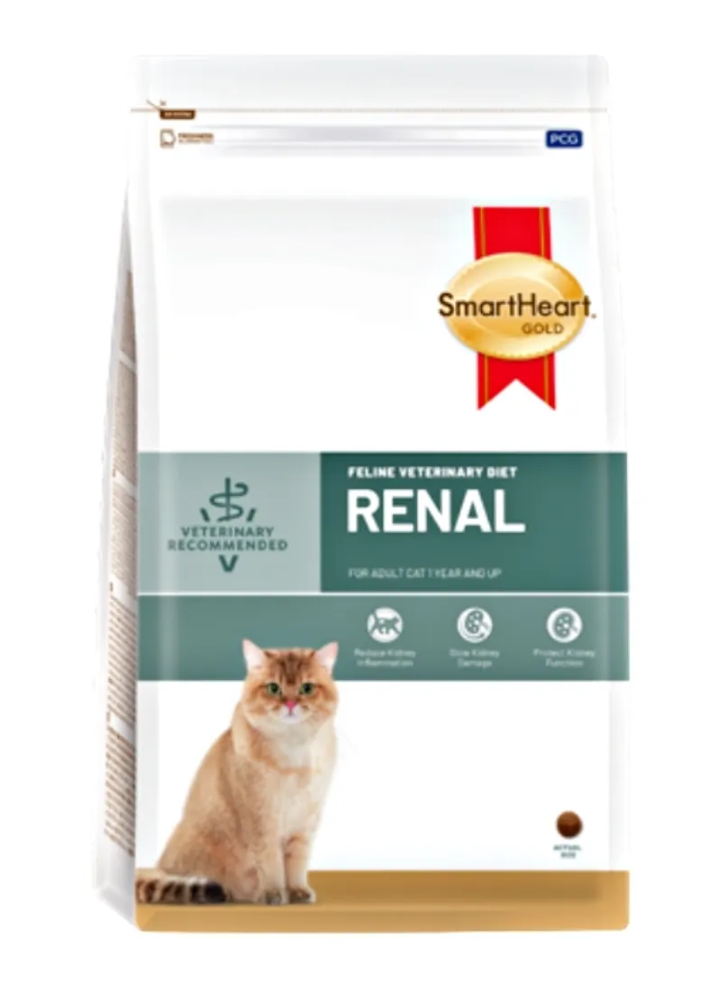 อาหารแมวยี่ห้อไหนดี