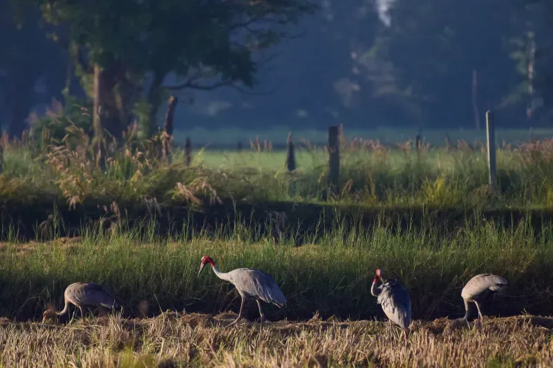 ที่เที่ยวบุรีรัมย์
