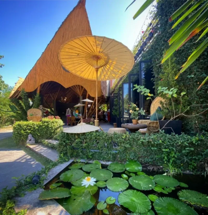 ที่พักเชียงใหม่ ธรรมชาติ