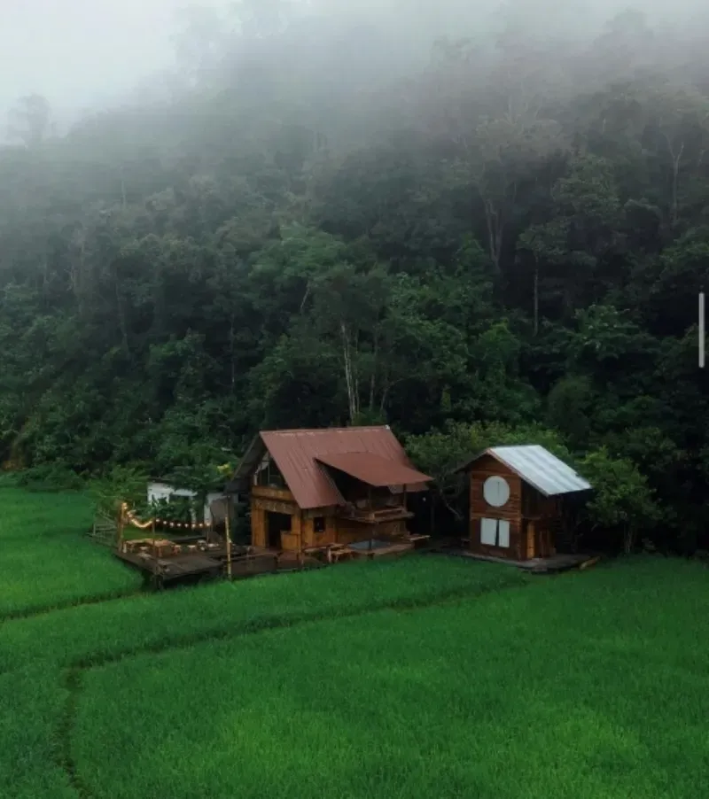ที่พักเชียงใหม่ ธรรมชาติ