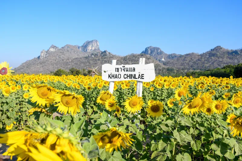 ถ่าย พรีเวดดิ้ง