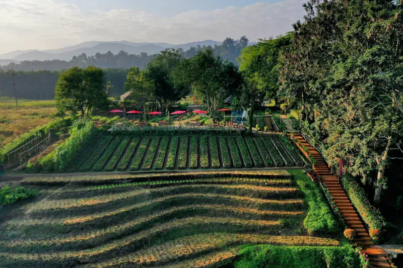 ที่พักเชียงราย