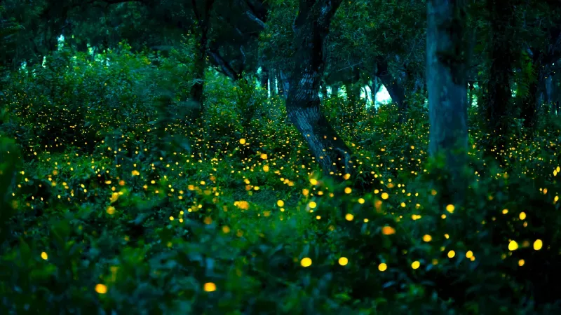 ที่เที่ยวปราจีนบุรี