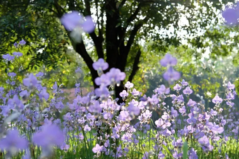 ที่เที่ยวปราจีนบุรี