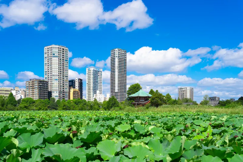 เที่ยวญี่ปุ่น เดือนกรกฎาคม 2025