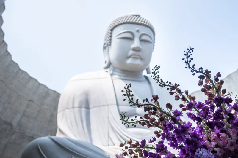 เที่ยวญี่ปุ่น เดือนกรกฎาคม 2025