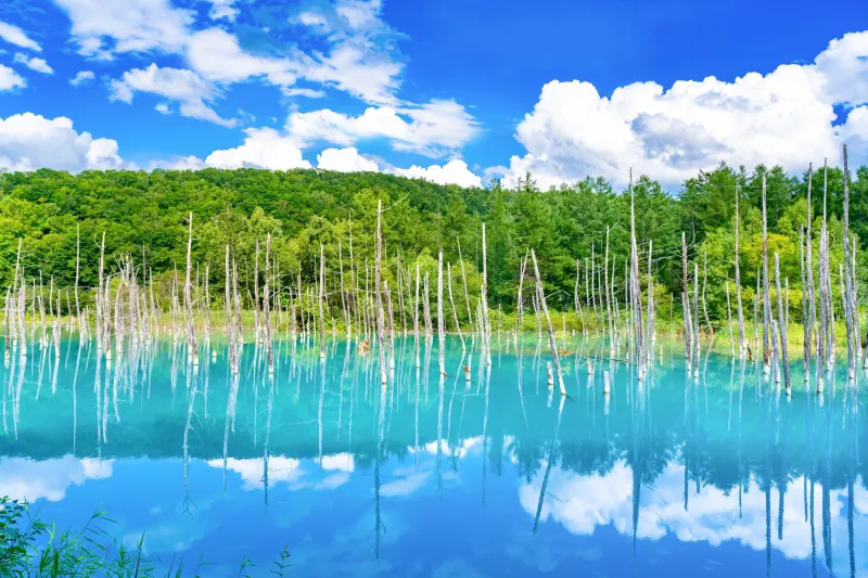 เที่ยวญี่ปุ่น เดือนกรกฎาคม 2025