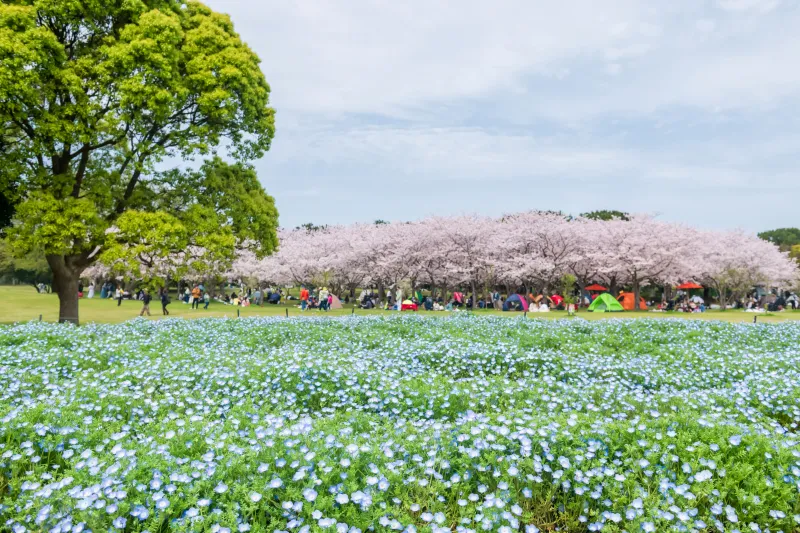 เที่ยวญี่ปุ่น เดือนกรกฎาคม 2025