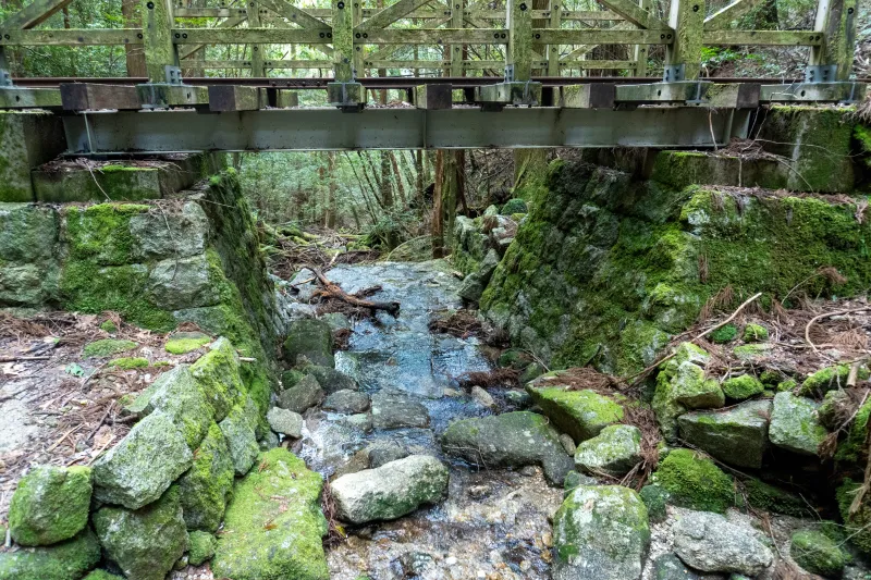 เที่ยวญี่ปุ่น เดือนกรกฎาคม 2025