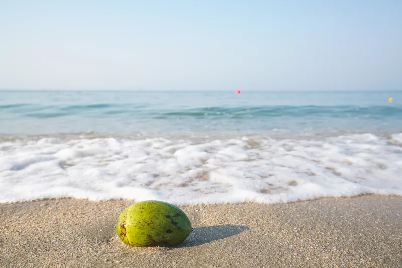 เที่ยวบางแสนในวันสงกรานต์ 2568